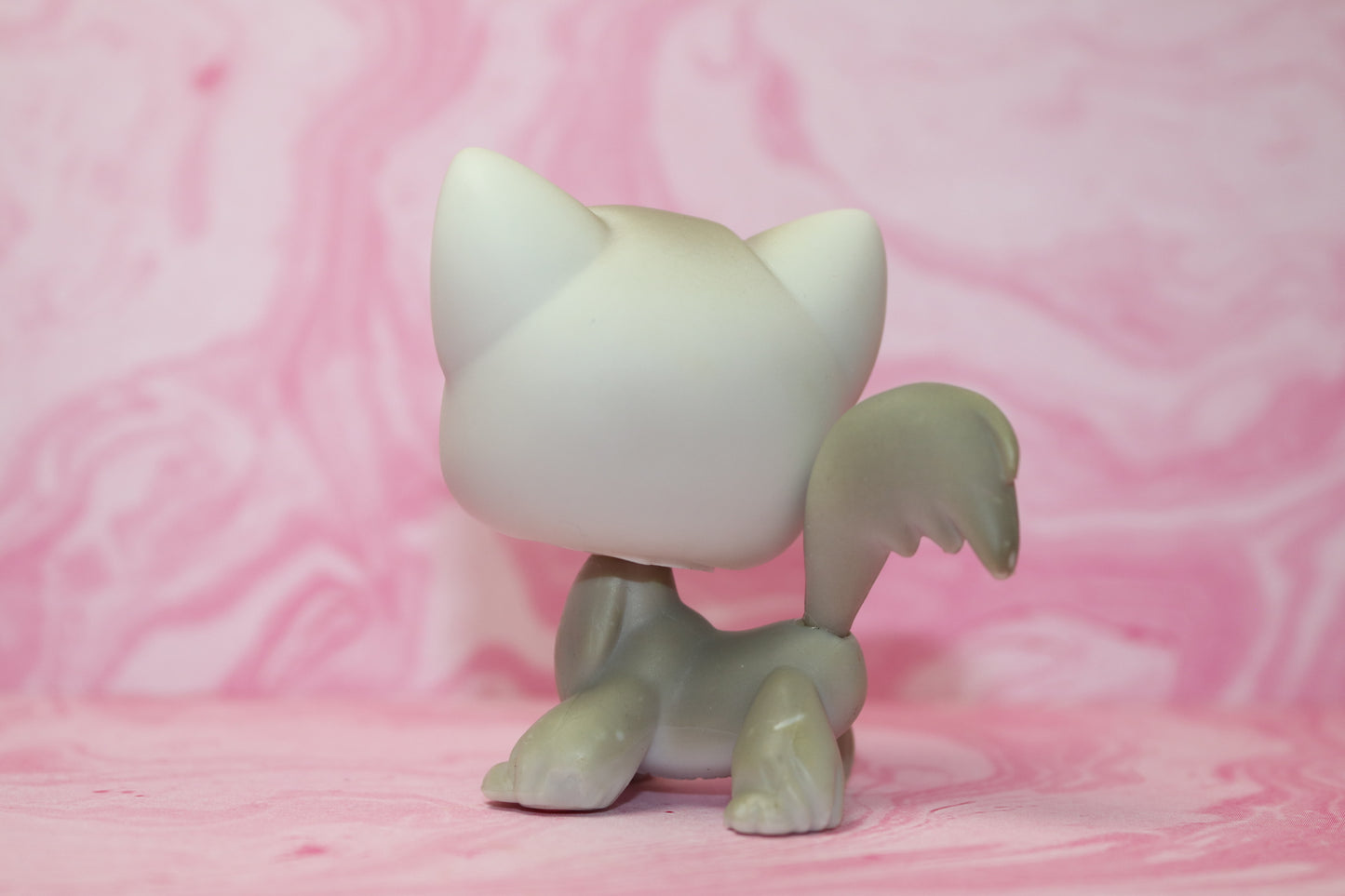 Lps grey longhair cat 20