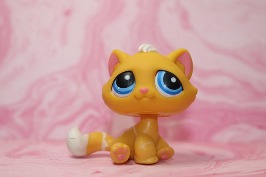 Lps orange bon bon cat 349