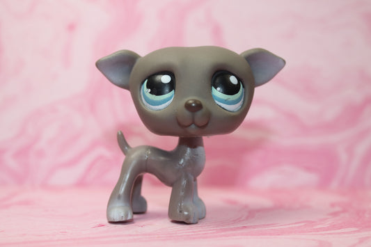 Lps grey greyhound 319