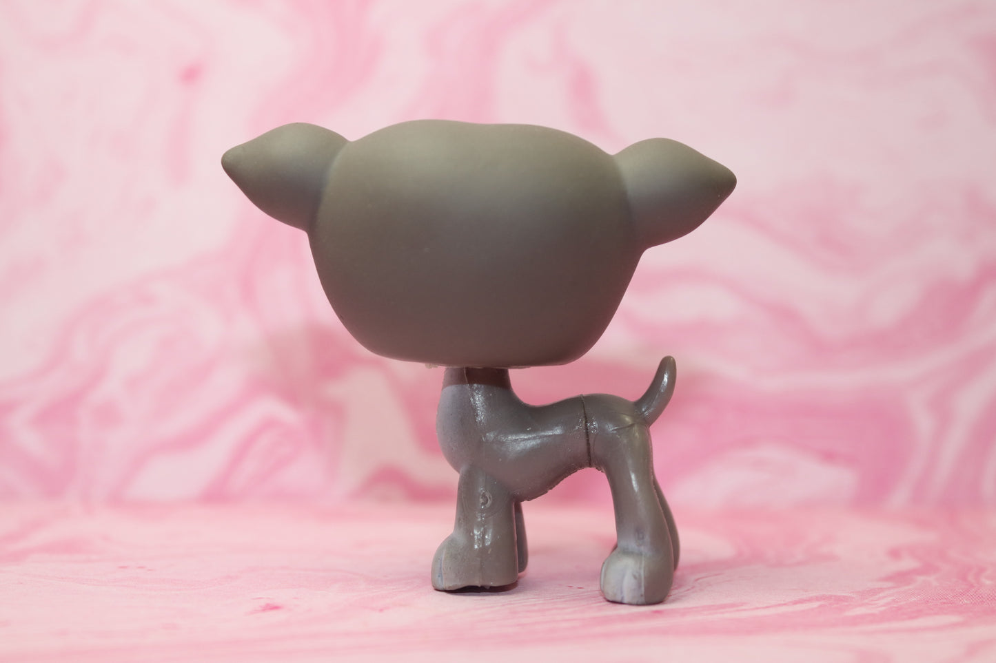Lps grey greyhound 319