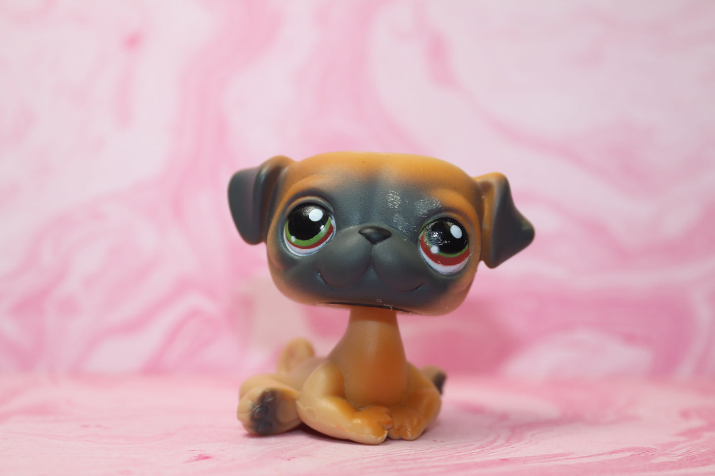 Lps blemished pug 1221