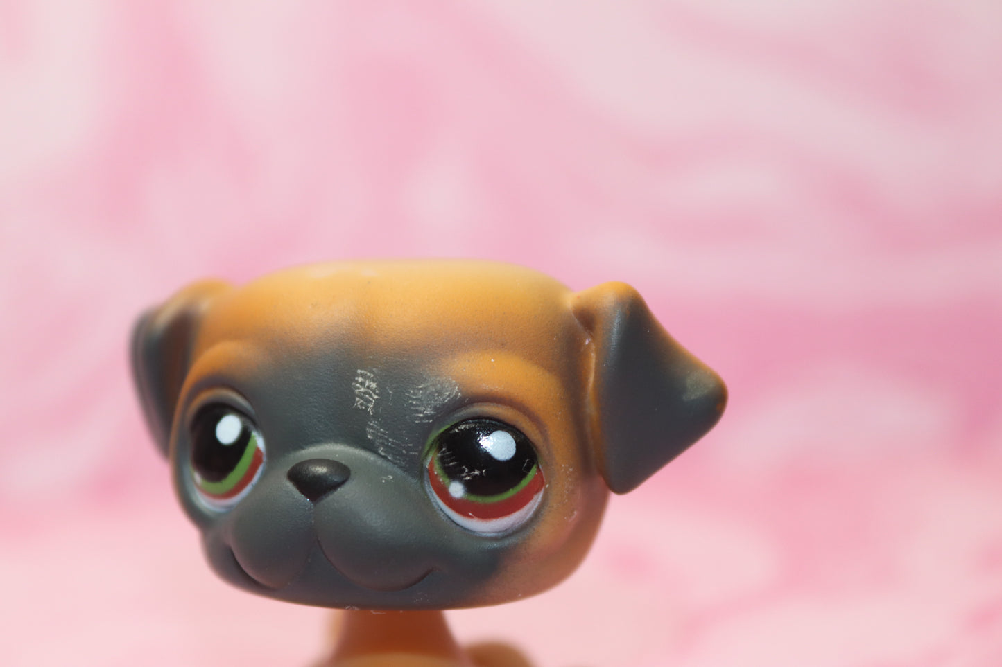 Lps blemished pug 1221