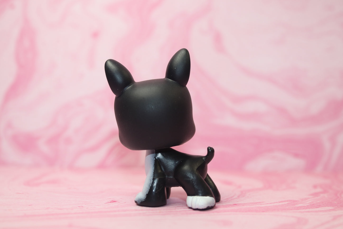 Lps black and white boston terrier 63