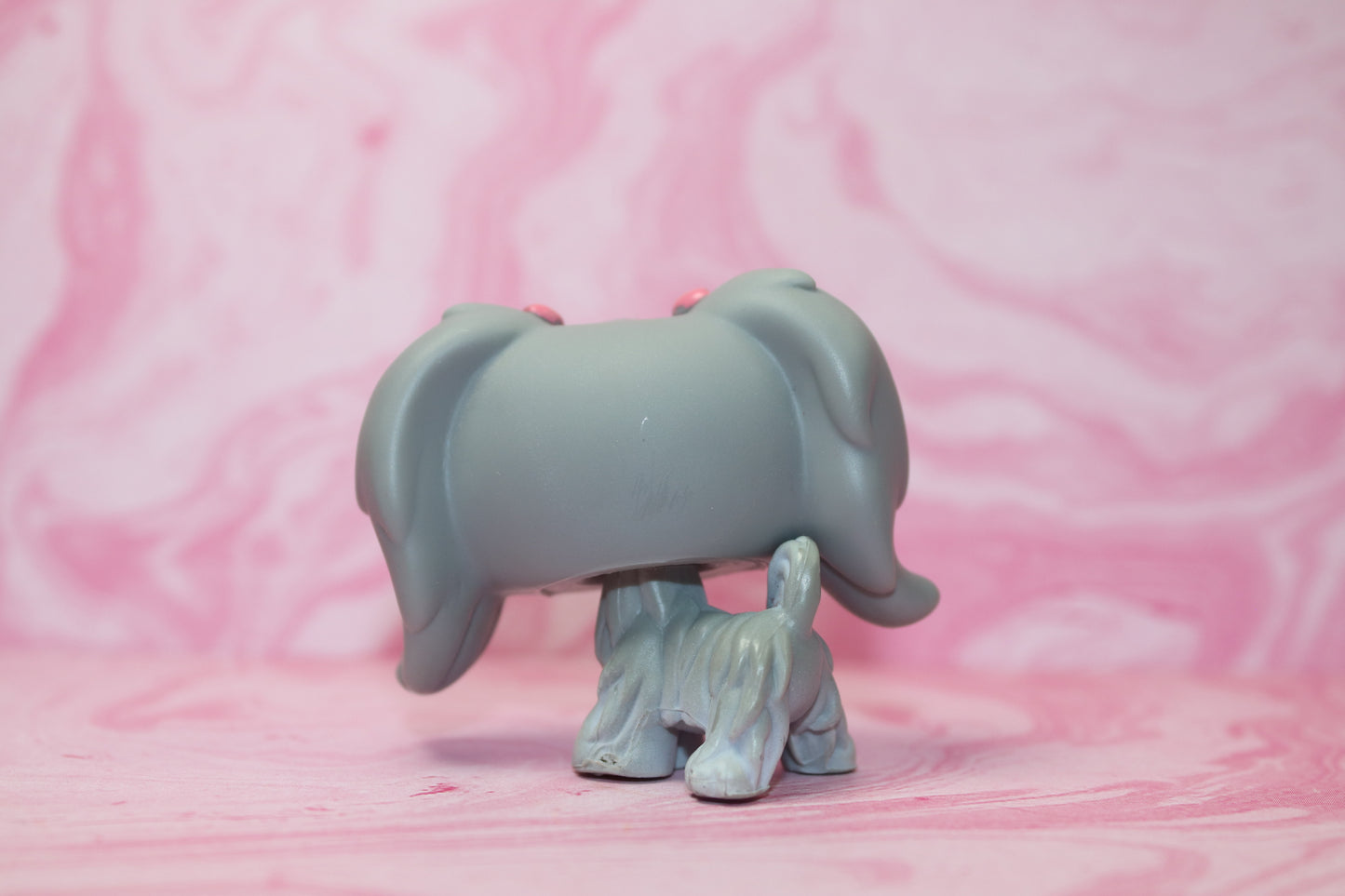Lps grey maltese 193