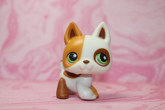 Lps blemished german shepherd 127
