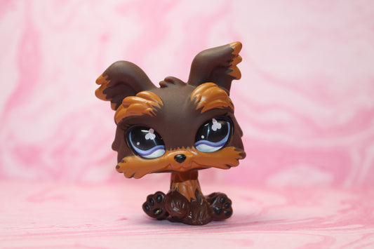Lps glass eyed yorkie 509