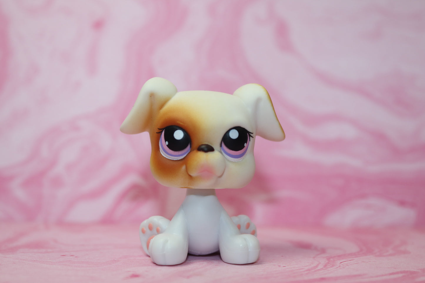 Lps boxer 84