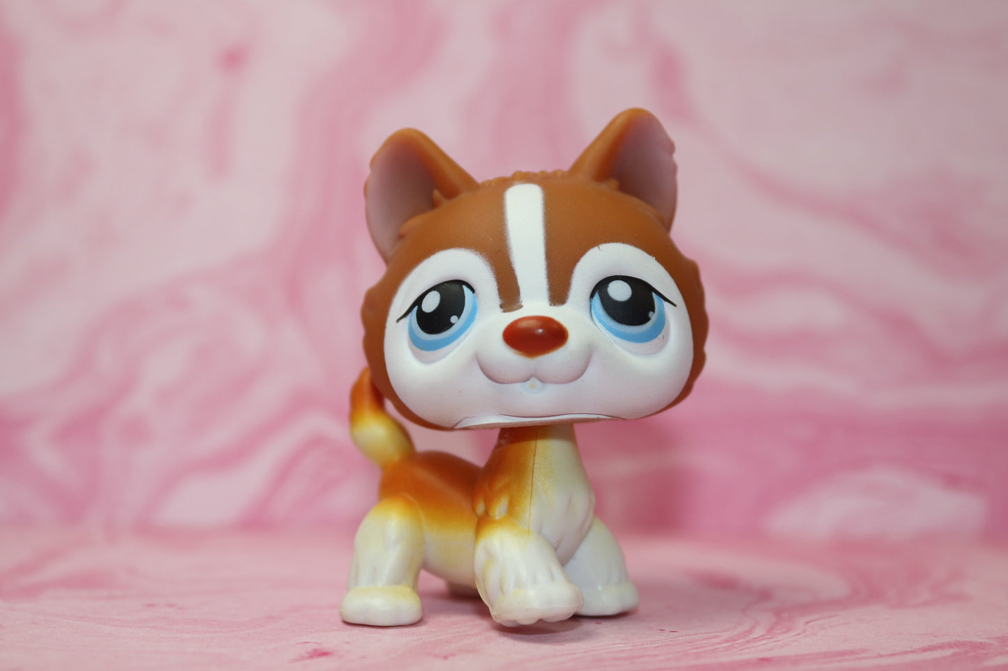 Lps orange husky 341