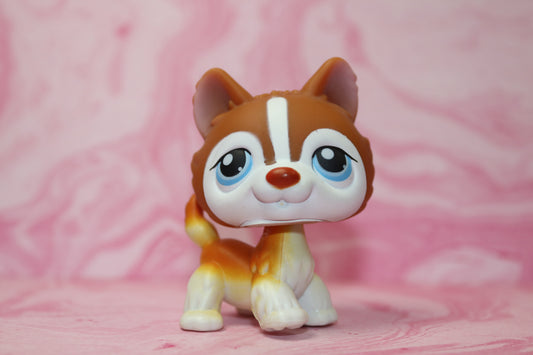 Lps orange husky 341