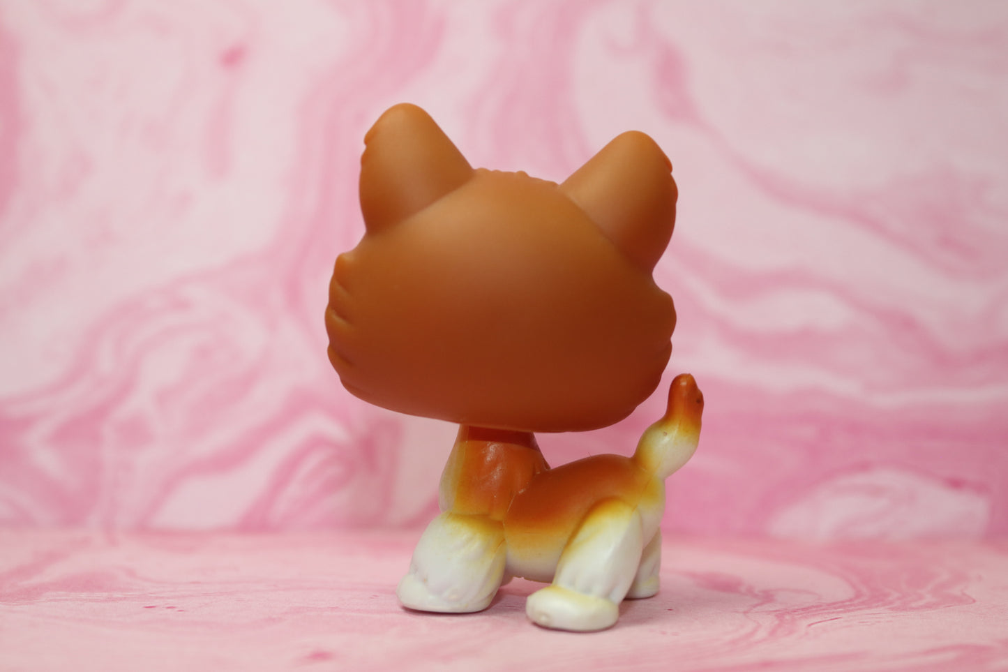 Lps orange husky 341