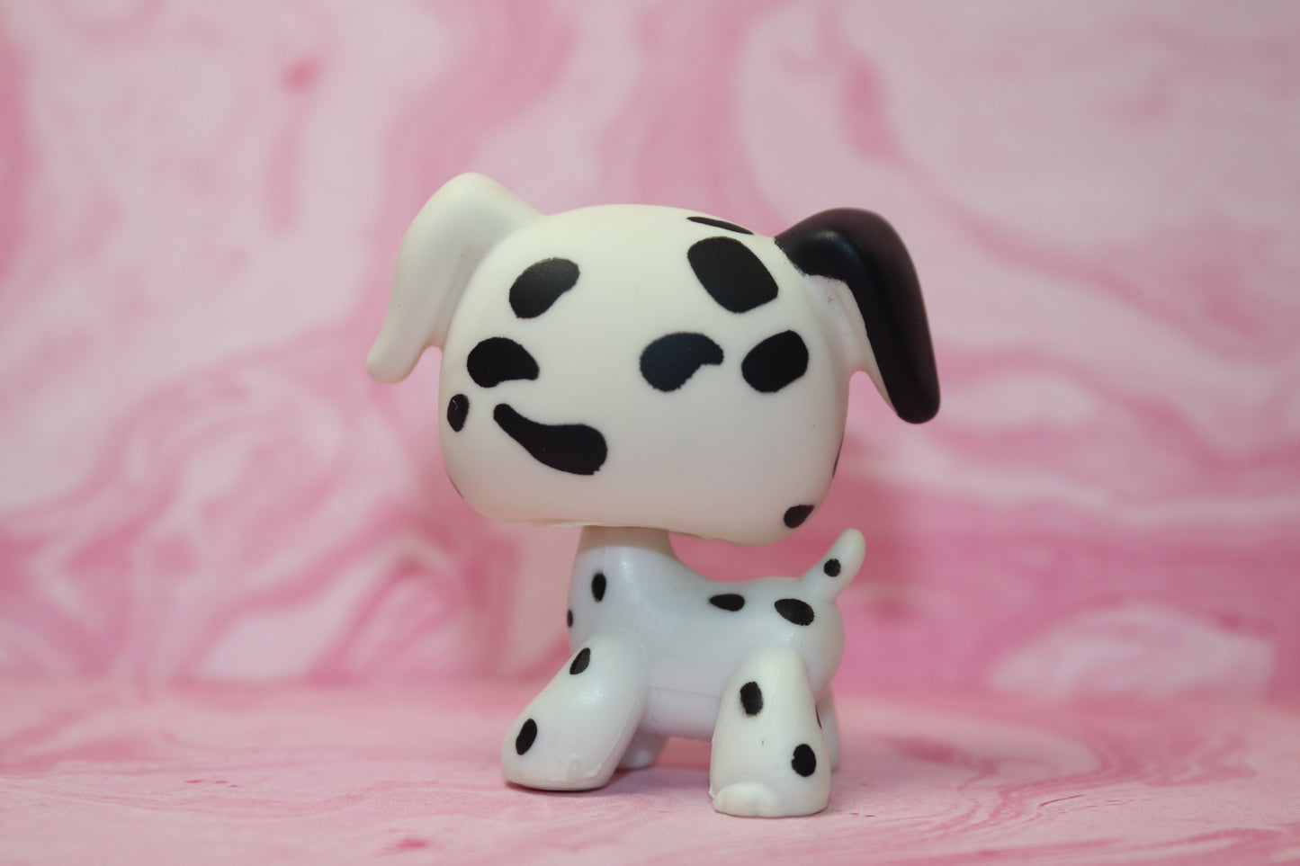 Lps dalmatian 44
