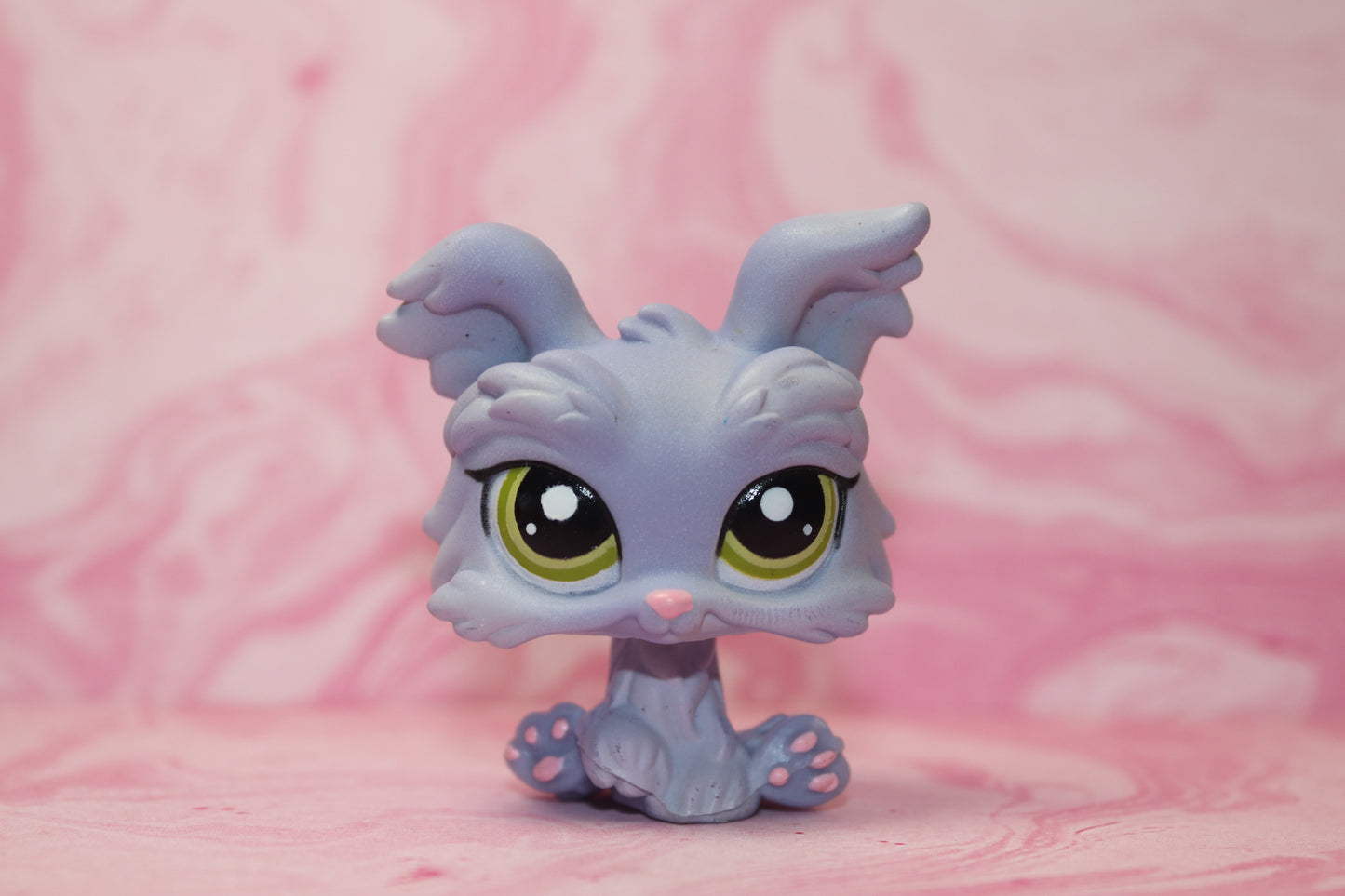 Lps blue yorkie 1611