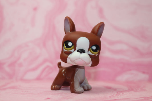 Lps brown boston terrier 118