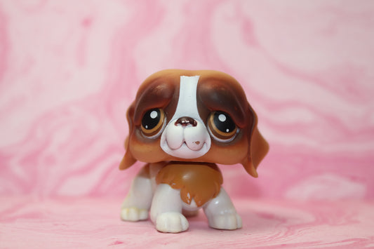Lps blemished st bernard 229
