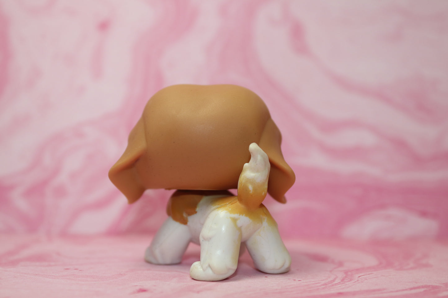 Lps blemished st bernard 229