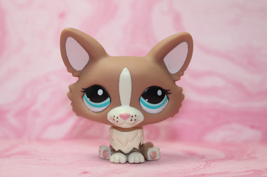 Lps blythe corgi 1864