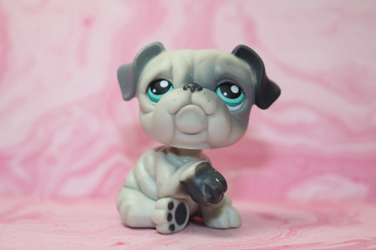 Lps grey bulldog 446