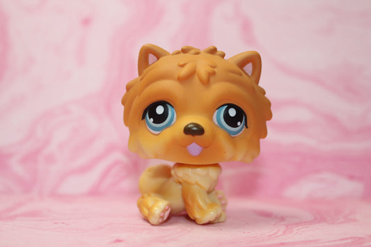Lps chow chow 117