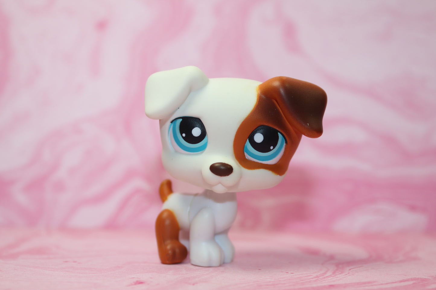 Lps jack russell 151