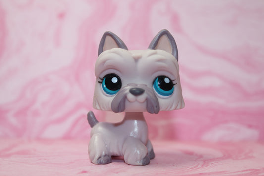 Lps purple scottie 1201