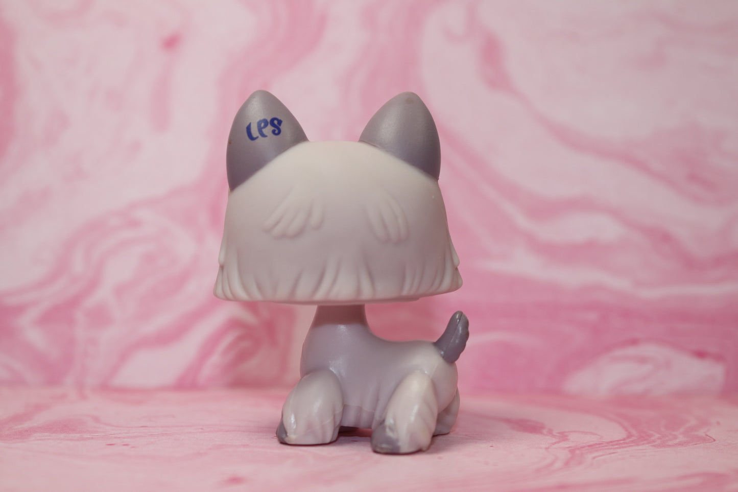 Lps purple scottie 1201