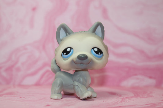 Lps grey husky 69