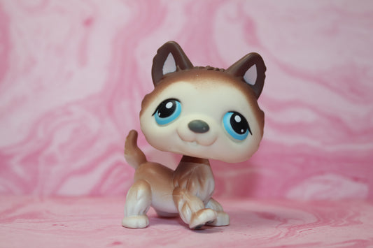 Lps brown husky 68