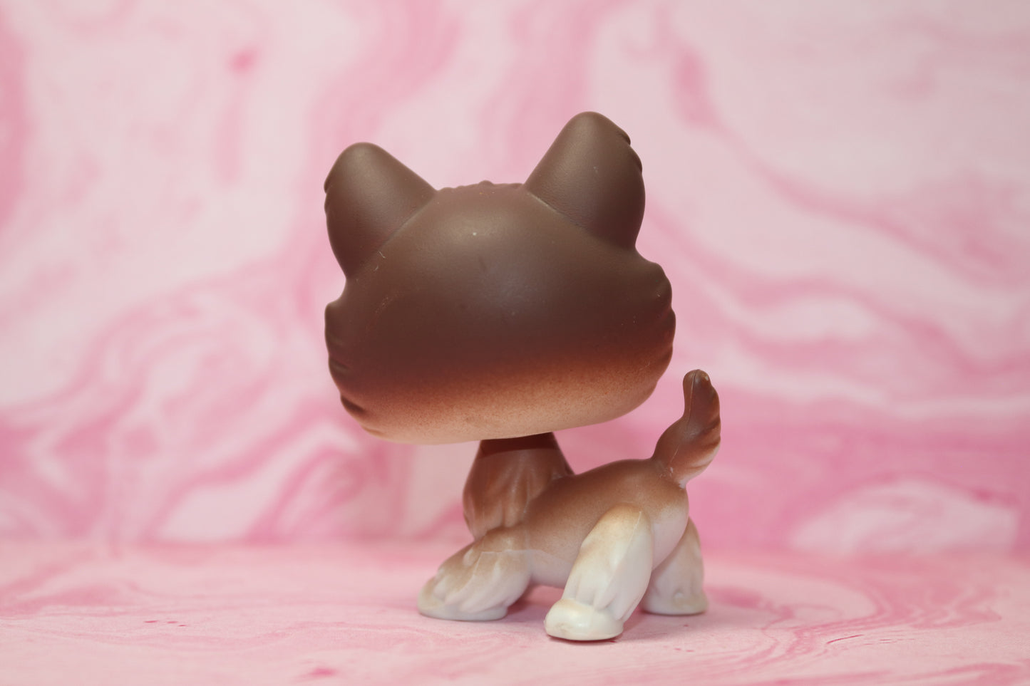 Lps brown husky 68