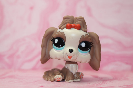 Lps lhasa apso 2130