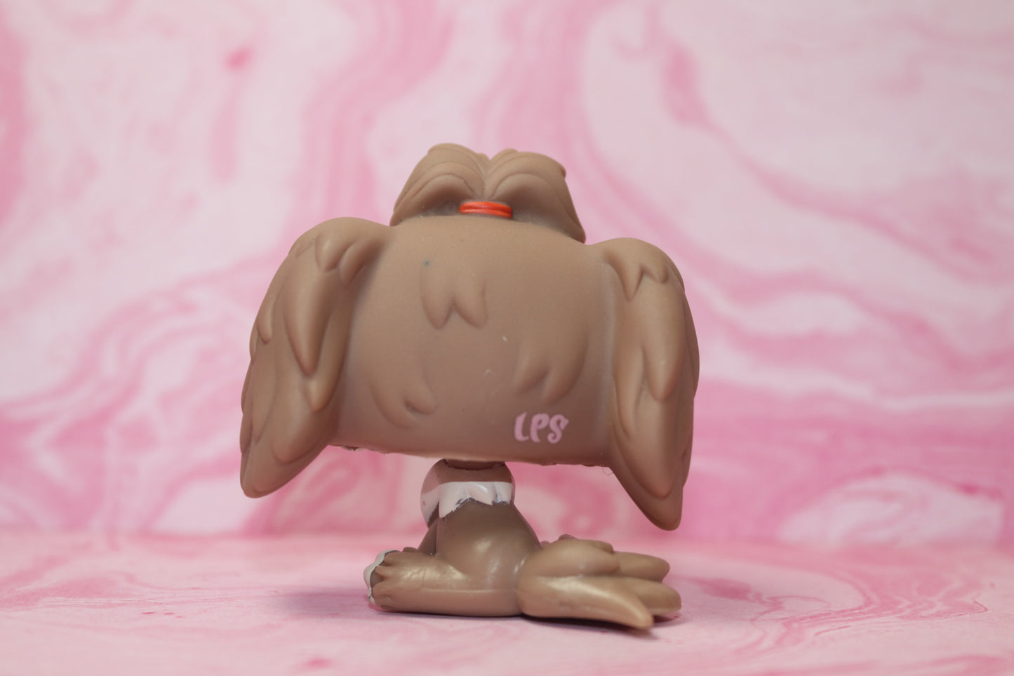 Lps lhasa apso 2130