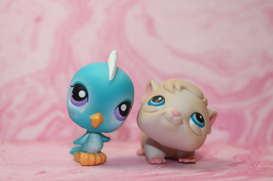 Lps bird and guinea pig