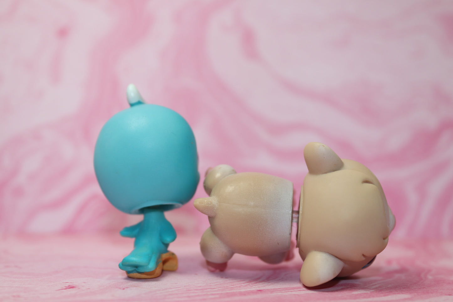 Lps bird and guinea pig