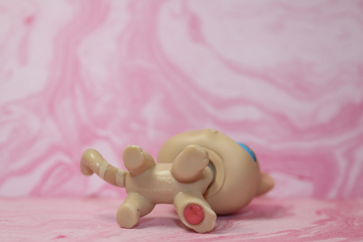 Lps shorthair cat 228