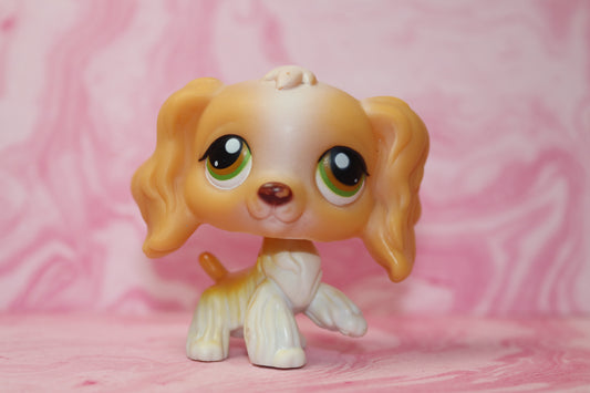 Lps cocker spaniel 79
