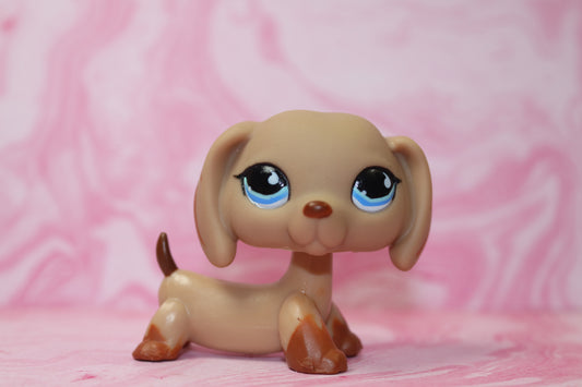 Lps dachshund 518 *squished head from hat*