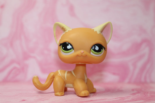 Lps blemished shorthair cat 525