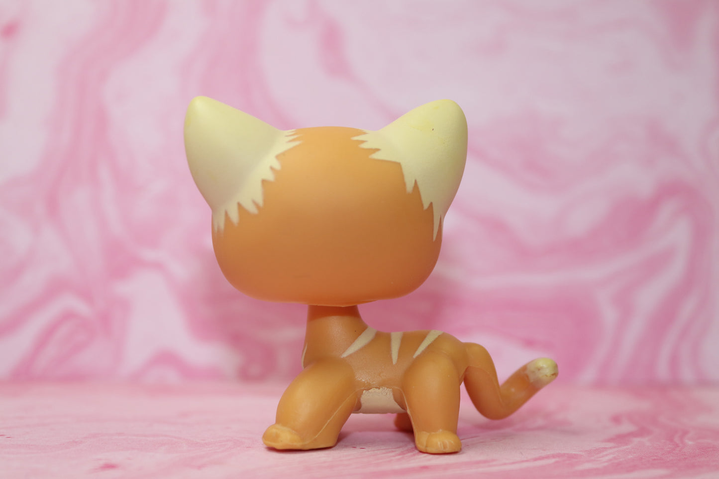Lps blemished shorthair cat 525