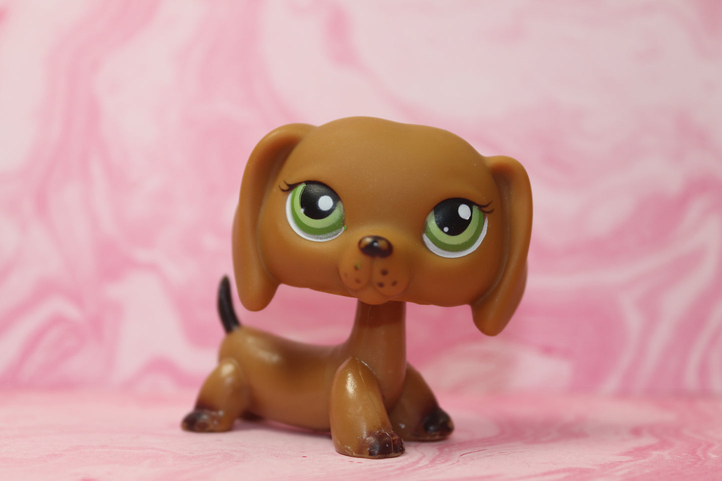 Lps blemished target dachshund 307