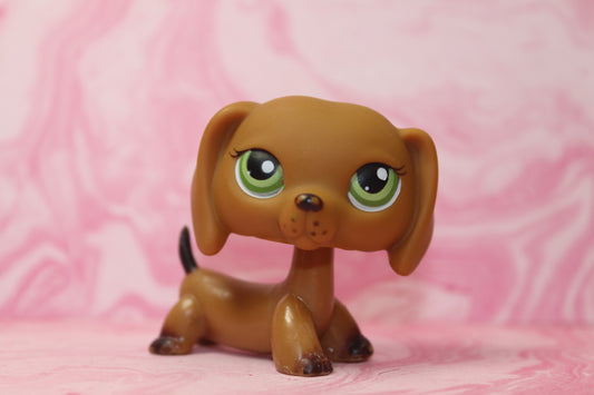 Lps blemished target dachshund 307