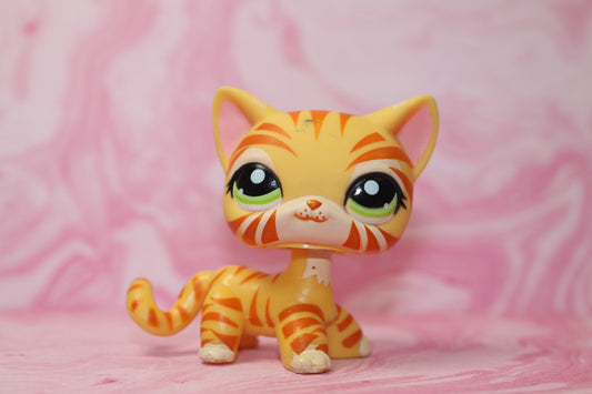 Lps blemished tiger shorthair 1451