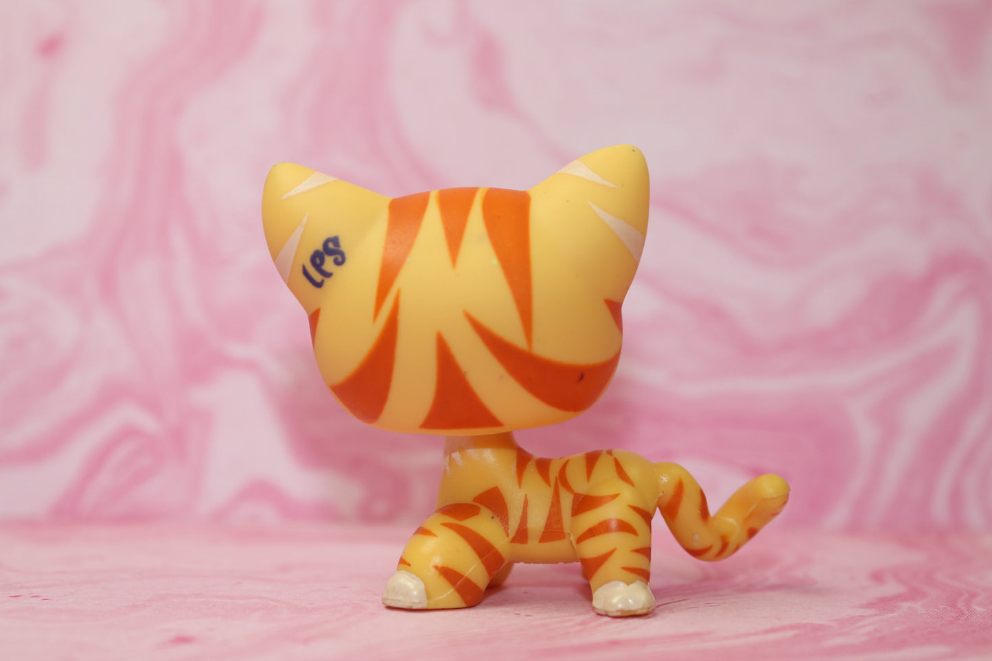 Lps blemished tiger shorthair 1451