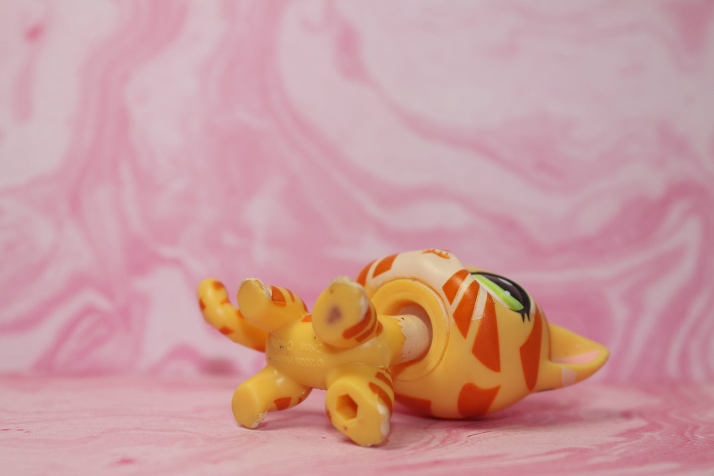 Lps blemished tiger shorthair 1451