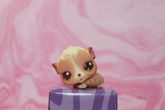 Lps baby guinea pig 2630