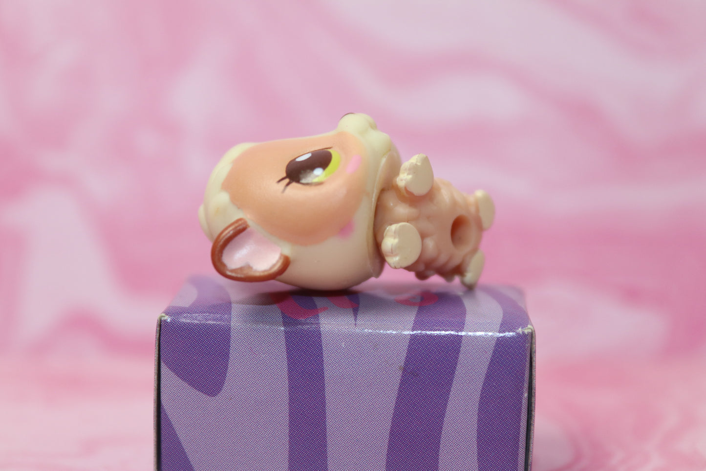 Lps baby guinea pig 2630