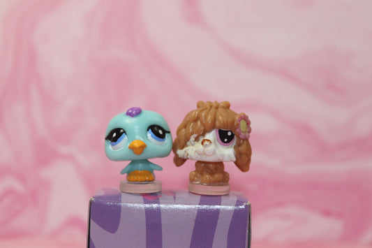 Lps teensies