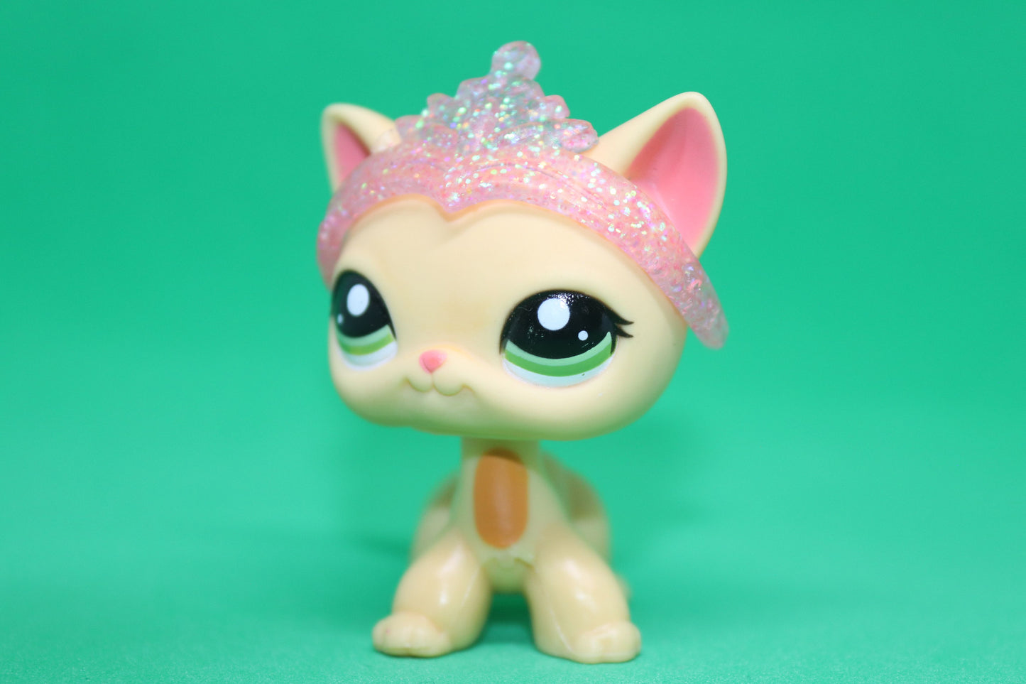 @Lpstaylor.official resin crown *PET NOT INCLUDED*