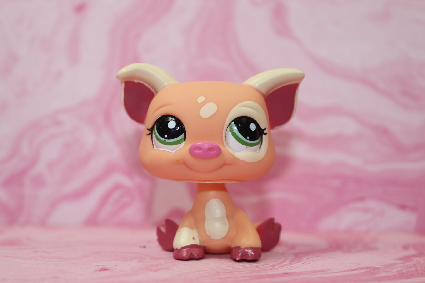 Lps pig 1595