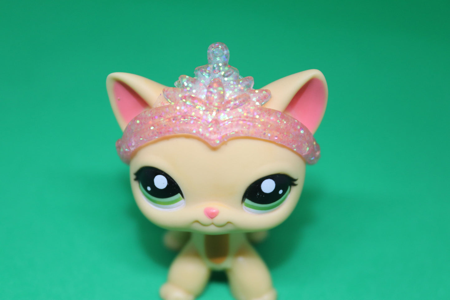 @Lpstaylor.official resin crown *PET NOT INCLUDED*