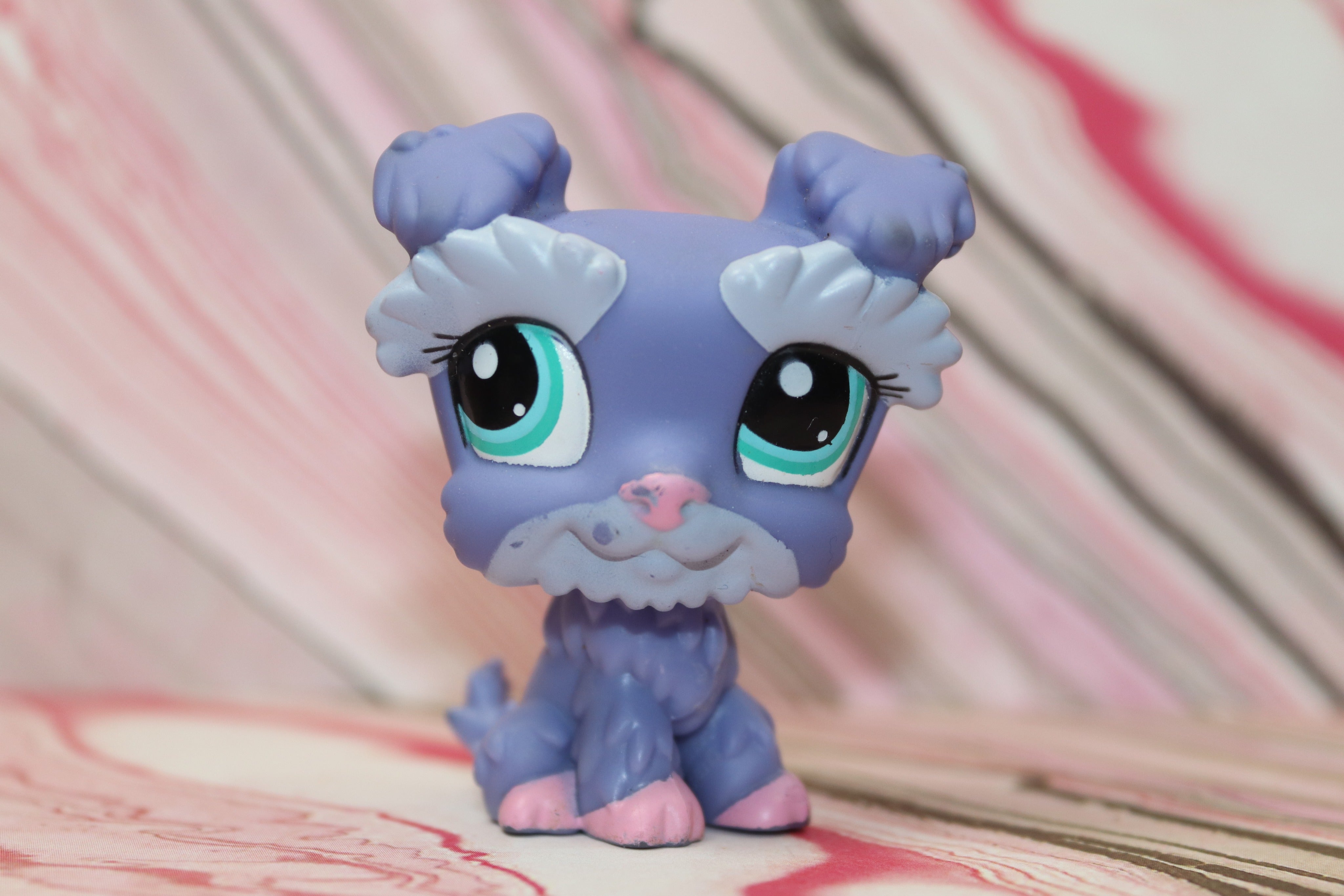 Lps schnauzer best sale