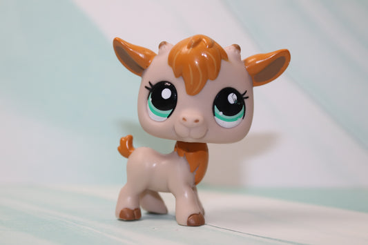 Lps goat 2299